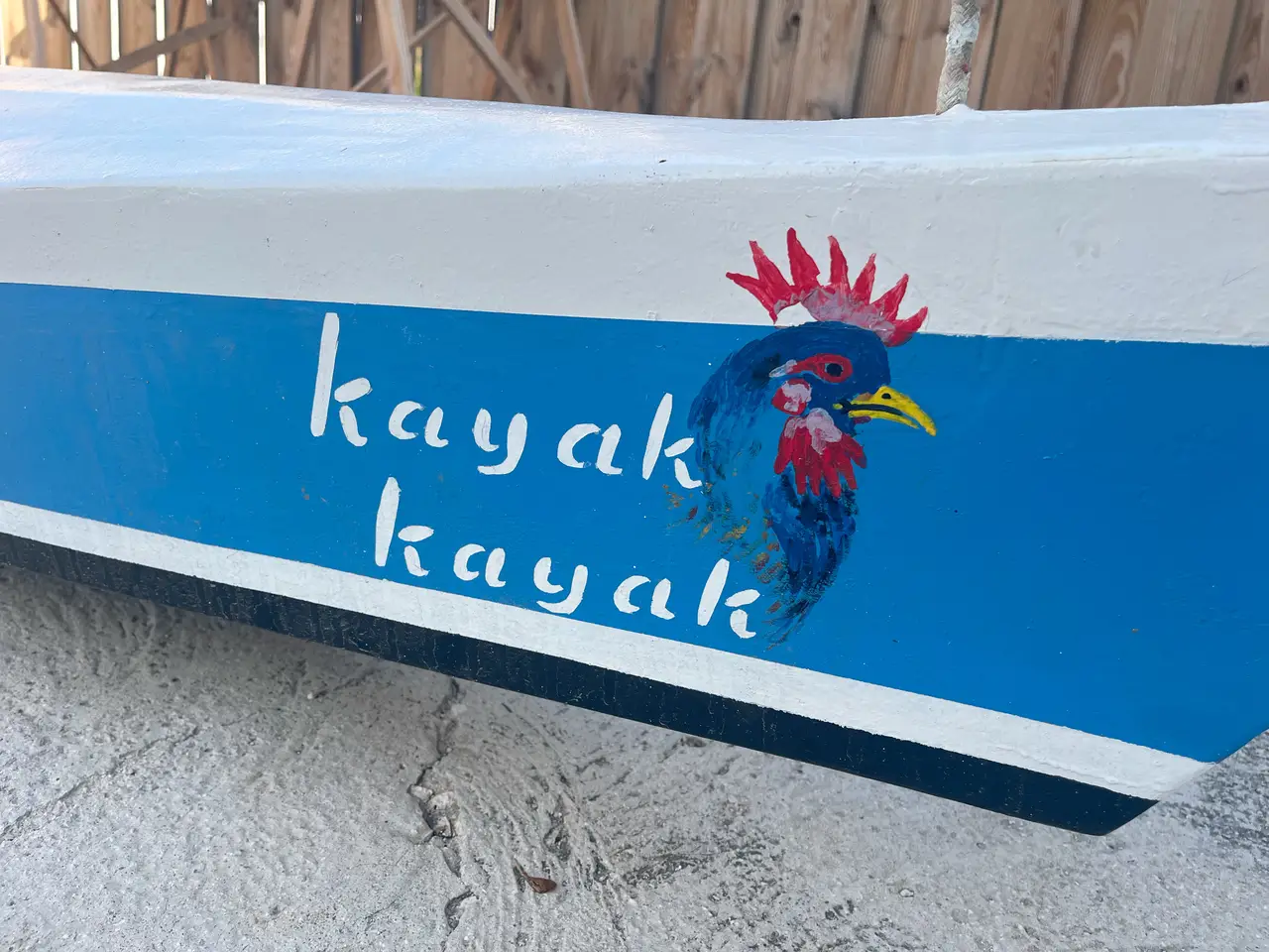 Kayak Kayak — photo 3